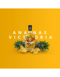 Rhum Arrangé CED - Ananas Victoria 32%