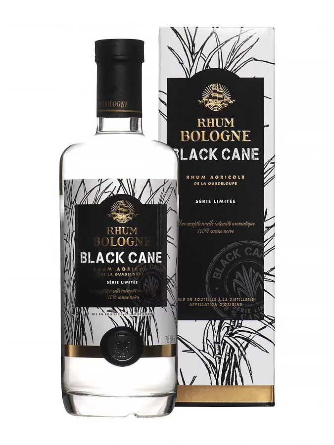 BOLOGNE Black Cane 50% 2023 (Avec étui) BOLOGNE Black Cane 50% 2023 (Avec étui)