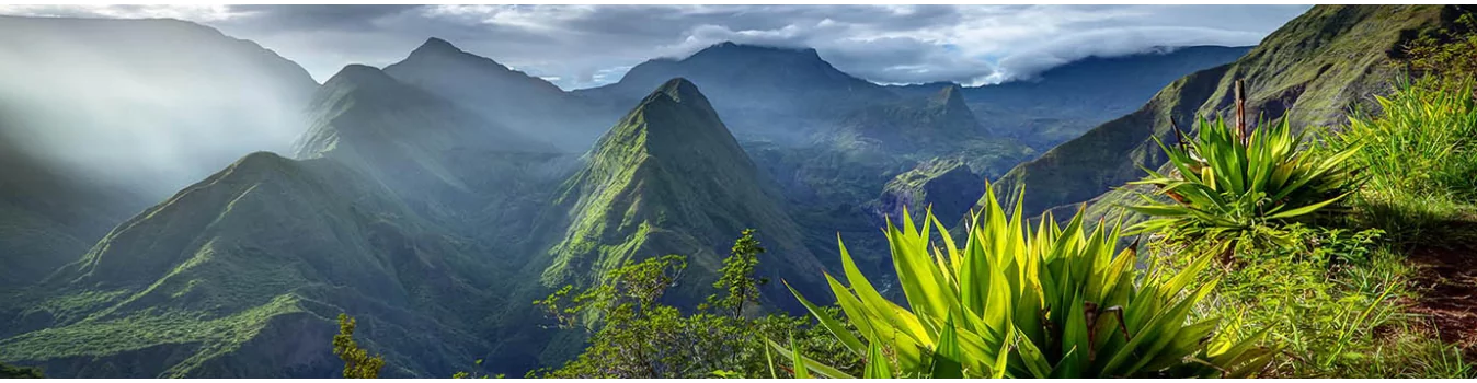 Rhum Réunion : Les Meilleurs Rhums de la Réunion en Ligne