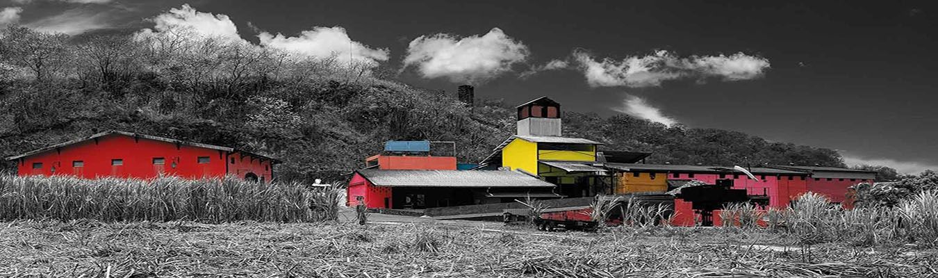 distillerie neisson martinique