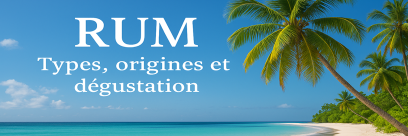 Guide complet du rhum : types, origines et comment le déguster