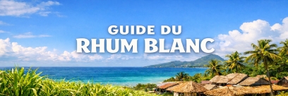 Rhum blanc : définition, styles, dégustation et comment bien le choisir